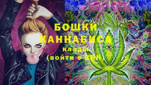 дурь Ладушкин