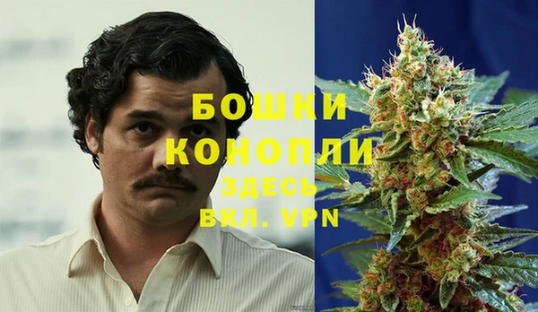 дурь Ладушкин