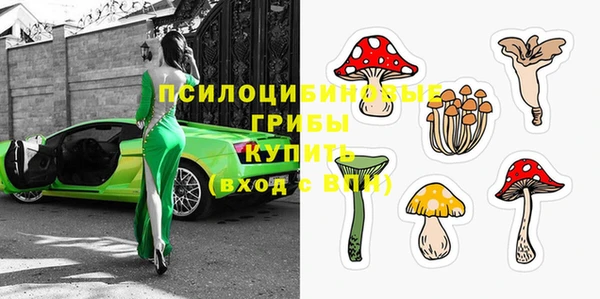 дурь Ладушкин