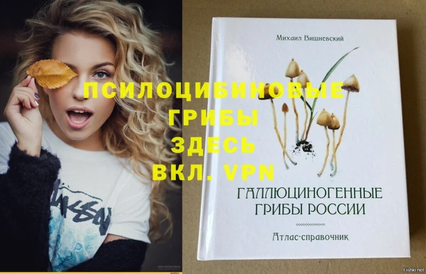 круглые Лабытнанги